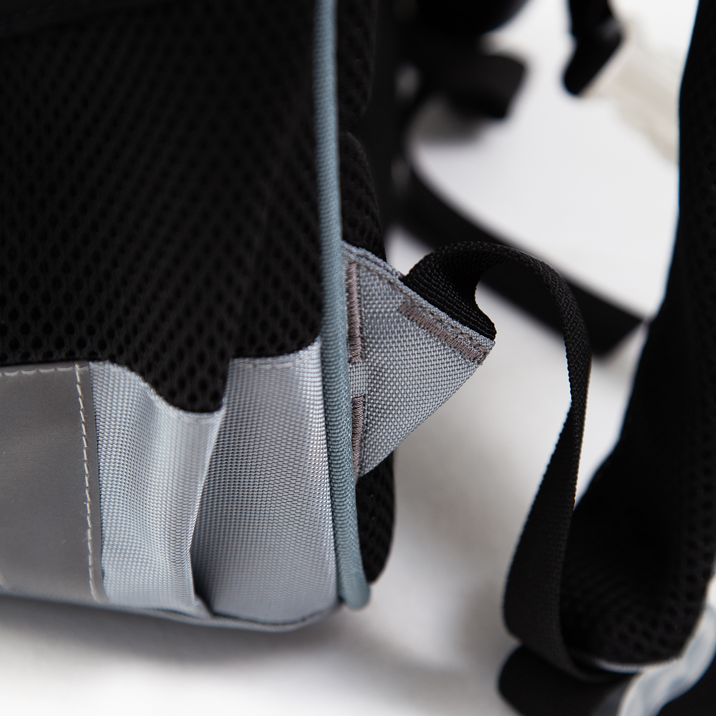 Джек котики 0447