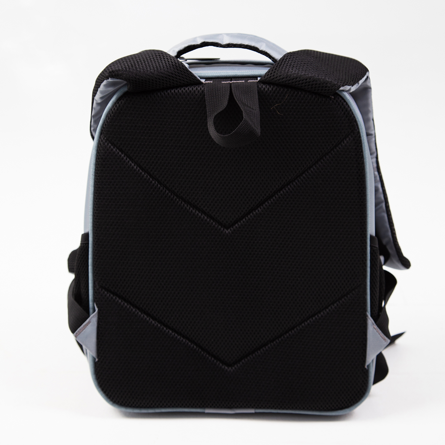 Джек котики 0447